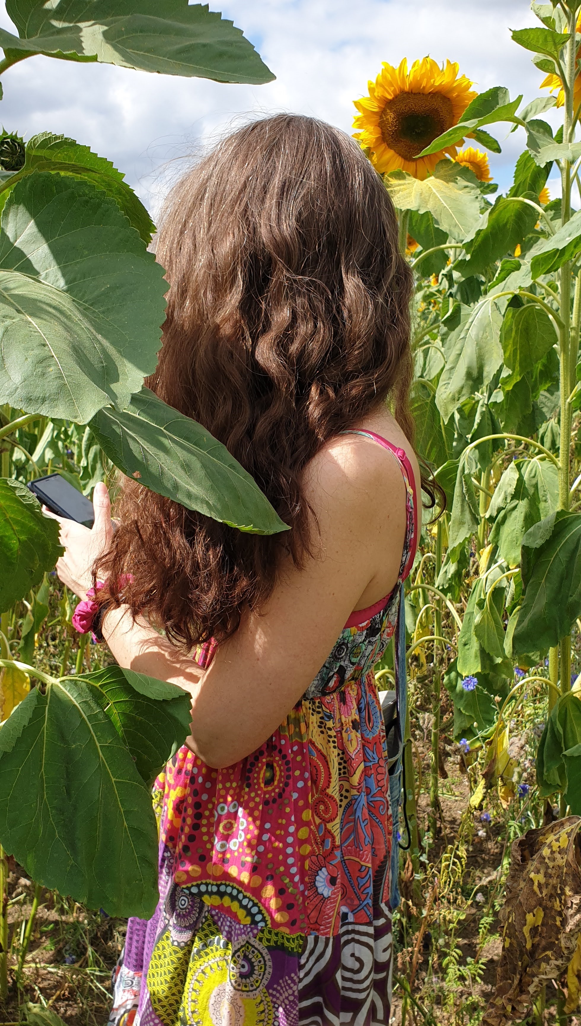 Photo of artist Fiona wearing brightly coloured dress in field of sunflowers taking photos of bumblebees